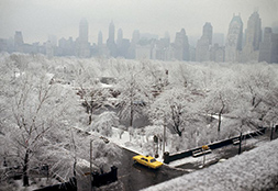 Ren Burri, Central Park, New York City, USA, 1967, Lambdaprint, 30 x 40 cm, Courtesy Galerie Esther Woerdehoff