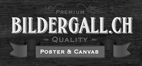 Our Partner Bildergall